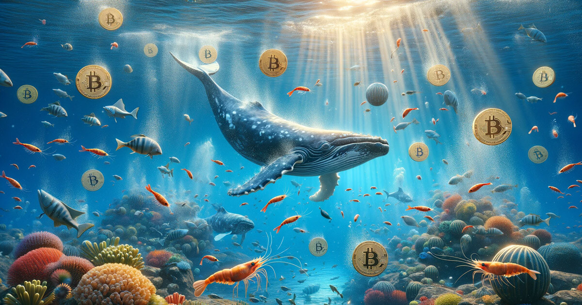 نهنگ بیت‌ کوینی مقدار زیادی از دارایی‌های خود را به بایننس منتقل کرد